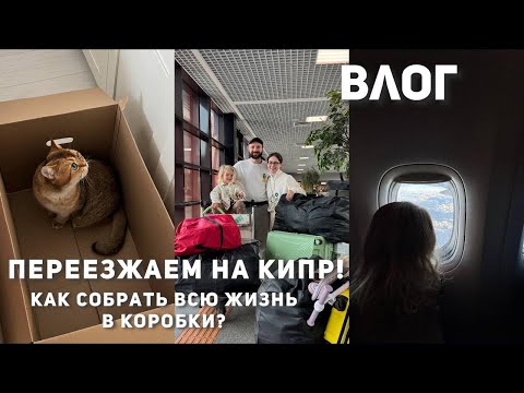 Видео: Мы переезжаем на КИПР! ВЛОГ: собираем всю жизнь в коробки, перелет с тоддлером