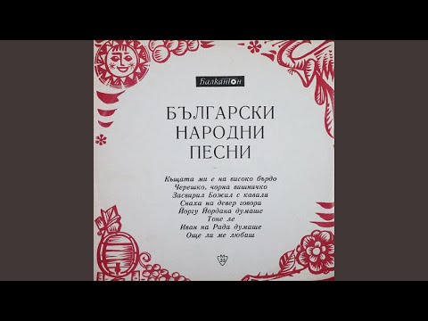 Видео: Черешко, чорна вишничко