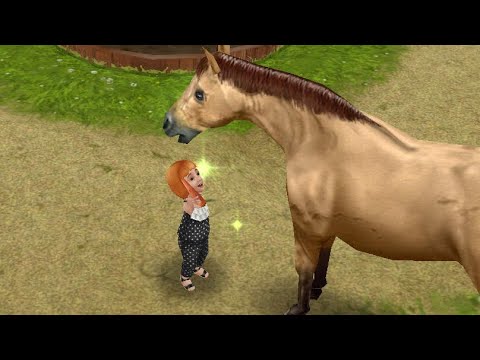 Видео: [БОЛЬШИЕ СОБАКИ] ➤ The Sims freeplay поколения #11