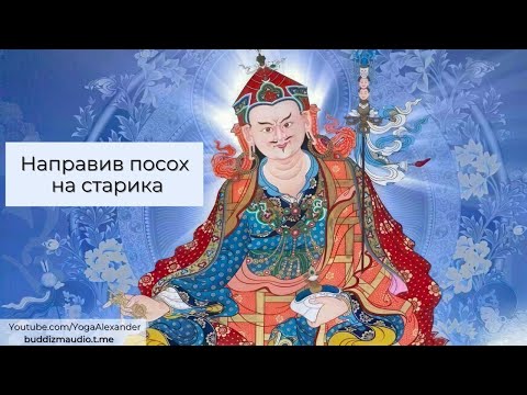 Видео: "Направив посох на старика" Падмасамбхава