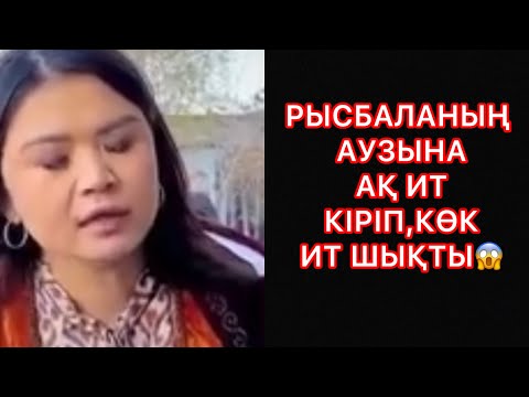 Видео: РЫСБАЛАНЫҢ АУЗЫНА АҚ ИТ КІРІП,КӨК ИТ ШЫҚТЫ😱#rek#рысбалаикрамбай 
