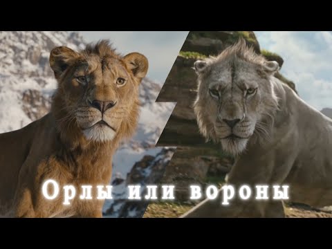 Видео: Муфаса и Шрам клип Орлы или вороны