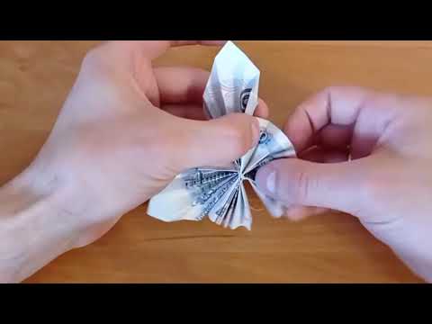 Видео: как сделать 🦋 бабочку из купюры  Оригами из денег  Манигами Origami
