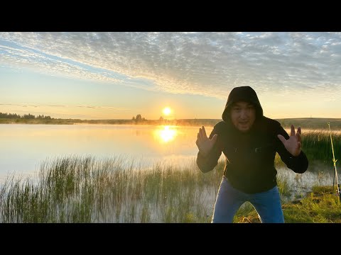 Видео: Поехали за СУДАКОМ в Ижев! Донки, спиннинг и лодка на Ишиме возле Вячеславчкого водохранилища