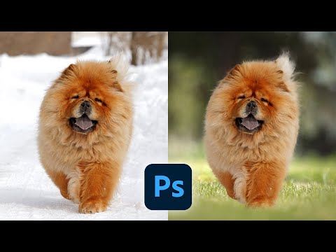 Видео: Как вырезать волосатый объект в фотошопе