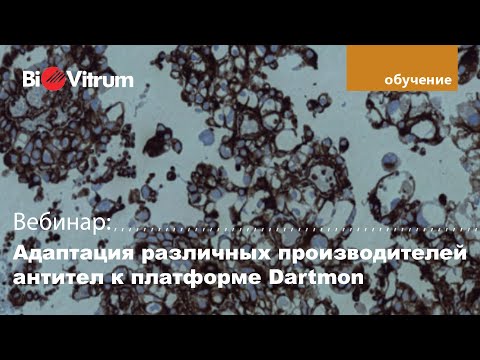 Видео: Адаптация различных производителей антител к платформе Dartmon