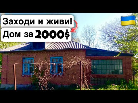 Видео: 🇺🇦 Заходи и живи! Дом в селе за 2000$ Продажа недвижимости за копейки! Всё есть Уютное тихое село!