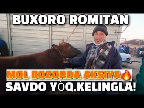 Видео:  БУХОРО РОМИТАН МОЛ БОЗОР.13.11.2025/ ЙЕМЛАНГАН БУКА НАРХЛАРИ.