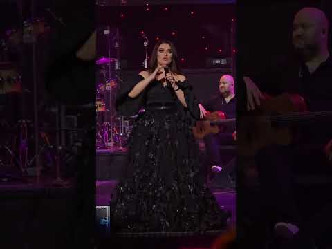 Видео: Елена Ваенга - "Где-то далеко", 28.01.25 концерт в Санкт-Петербурге