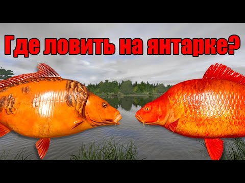 Видео: РР4 СТРИМ • ГДЕ ЛУЧШЕ ФАРМИТЬ НА НОРВЕЖСКОМ МОРЕ ? •  РУССКАЯ РЫБАЛКА 4