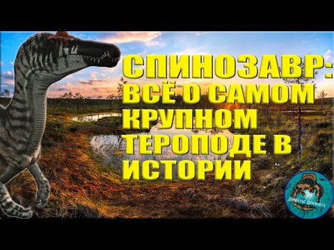 Видео: Спинозавр - от носа до хвоста