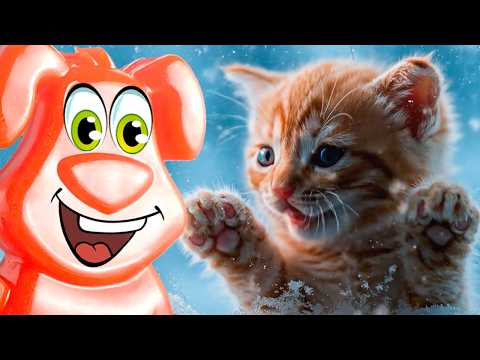Видео: Папа и дочка – рыжие котики. Желейный пёс Стасик в гостях у кошачьего семейства.