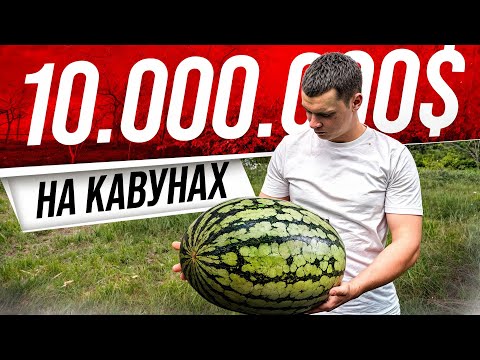 Видео: Кавун-культура майбутнього.Як на кавуні заробляти 10.000.000$$$