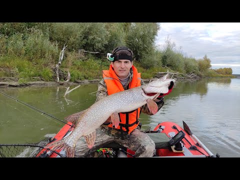 Видео: OmskSpin #103. Одна приманка - одна поклевка. Рыбалка на Иртыше. Большереченский район.