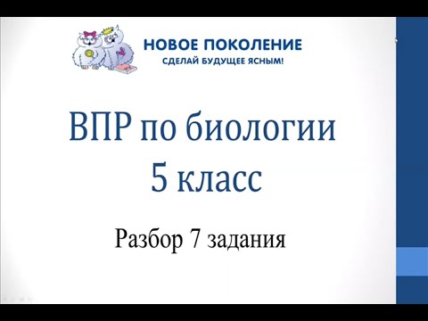 Видео: Биология. Разбор 7-го задания ВПР по биологии 5 класс