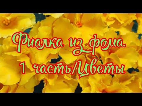 Видео: ФИАЛКА ИЗ ФОМА /1 ЧАСТЬ / ЦВЕТЫ