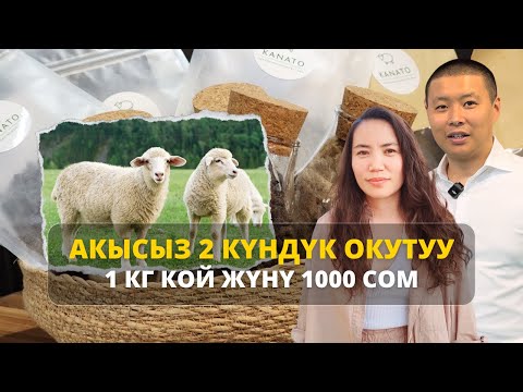 Видео: Айылдарда койдун жүнүн кайра иштеткендер пайда болот