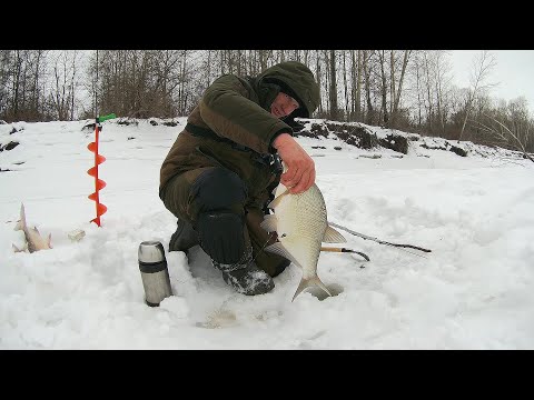 Видео: Вот это поворот! Как клюет рыба в оттепель. Февральская рыбалка на Оби.