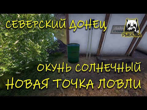 Видео: Русская рыбалка 4. рр4. Северский Донец. Новая точка окуня солнечного.