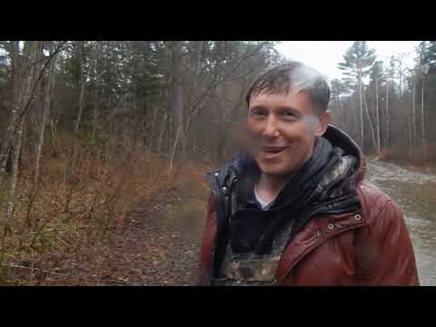 Видео: Дальний Восток, тайга, пасека. Разведка места под пасеку.