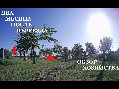 Видео: Два месяца в деревне // Обзор хозяйства // Первая прогулка