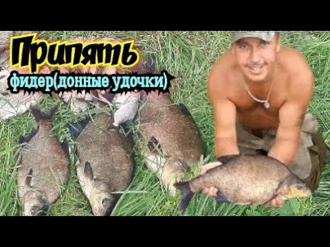 Видео: Река Припять.Рыбалка на донные удочки. Мой рекорд по лещу.