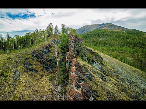 Видео: Кайфующий медведь. Красивейшие горы Бурятии.19.06.2024