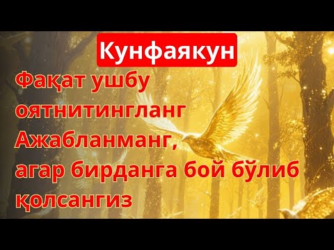 Видео: 💰 Фақат 10 дақиқа тингланг – ҳаётда фарқ сезилади !!