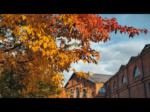 Видео: Осенний Петербург