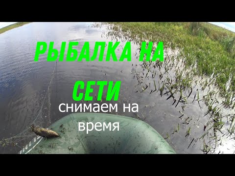 Видео: Рыбалка на сети в арендном озере