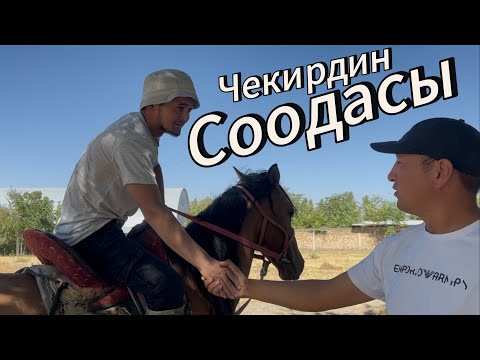 Видео: Чекирди Байгазы Алды +996770648283 Ноокен4 сентября 2025 г.