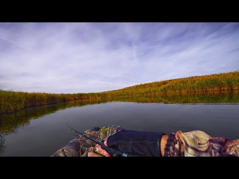 Видео: РЫБАЛКА НА ЩУКУ В ОКТЯБРЕ 2025