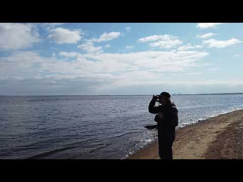 Видео: Пляж в Большой Ижоре