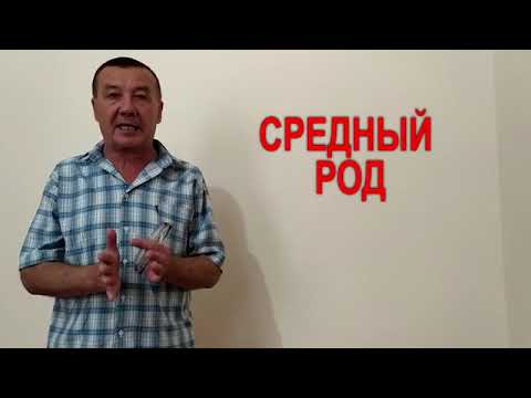 Видео: СРЕДНЫЙ РОД