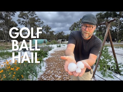 Видео: ЭПИЧЕСКИЙ ГРАД УНИЧТОЖИЛ НАШИ САДЫ