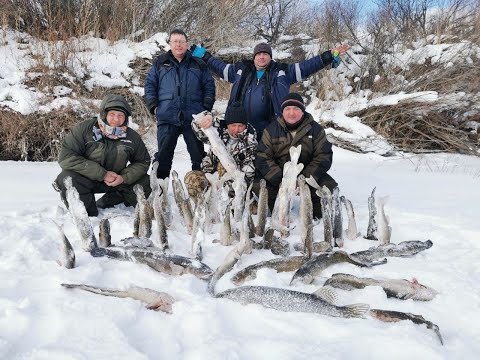 Видео: ОЧЕНЬ МНОГО НАЛИМА ! РЕКА НУРА .