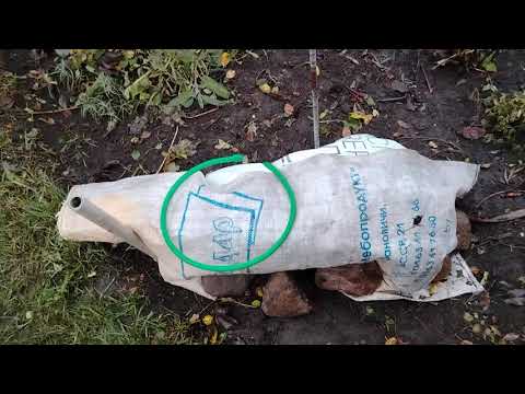 Видео: 10 ноября Всё укрыто, сезон закрыт, ждём зиму