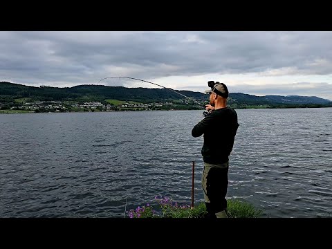 Видео: КЛЁВ НАЧАЛСЯ, когда погода испортилась! Рыбалка в Норвегии с берега! донка, спиннинг.