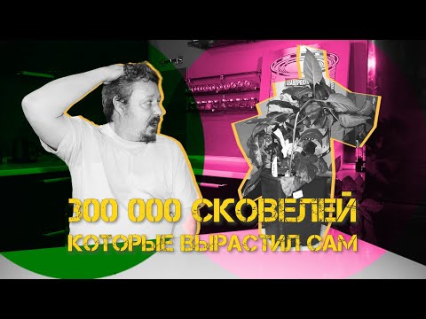 Видео: Сам вырастил 300 000 Сковиллей, сам съел, сам чуть не помер