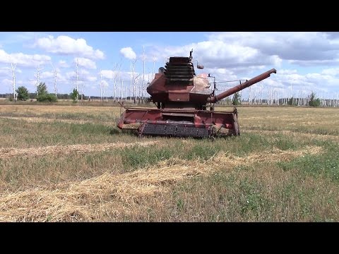 Видео: Комбайн Колос СК 6 в работе