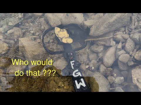 Видео: Таинственные золотые ловушки!