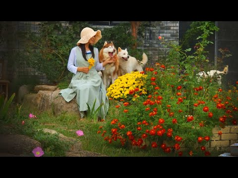 Видео: № 105. Осень сгущается, давайте нежно поприветствуем зиму! ㅣОктябрьский сад бархатцев