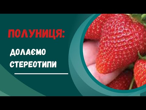 Видео: Як доглядати за полуницею з весни до осені. Долаємо стереотипи