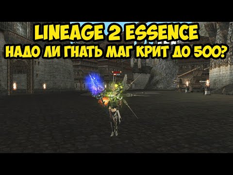 Видео: Надо ли гнать маг крит до 500 в Lineage 2 Essence?