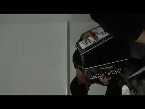 Видео: Арал караозек