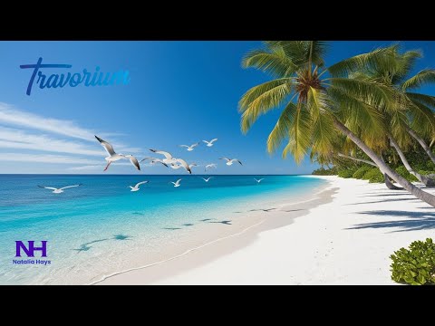 Видео: Japanese presentation Nataliia Hays/ Презентация на японском языке Наталья Хейз