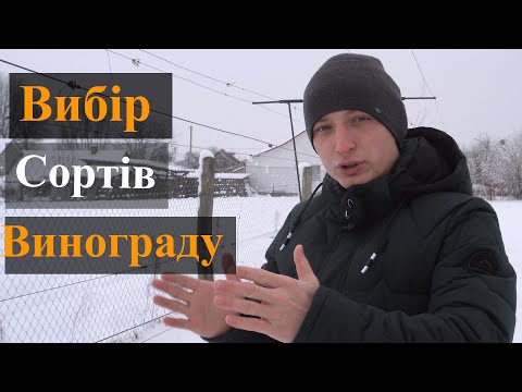 Видео: Як вибрати сорти винограду. Підбір сортів винограду. Який виноград посадити?