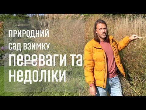 Видео: ЛАНДШАФТНИЙ ДИЗАЙН | ПРИРОДНИЙ САД ВЗИМКУ. ПЕРЕВАГИ ТА НЕДОЛІКИ