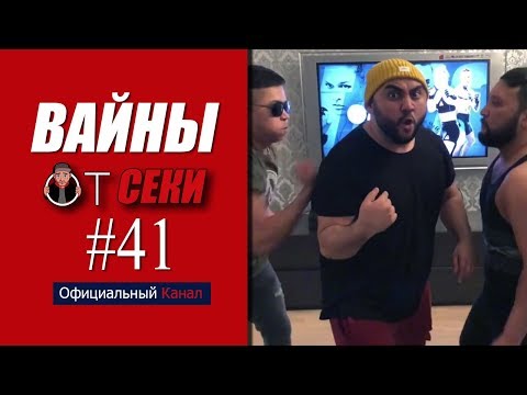 Видео: Свежая подборка вайнов SekaVines / Выпуск №41
