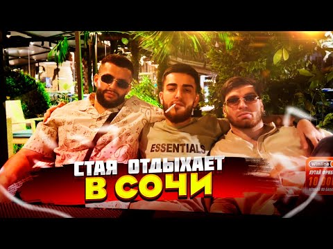 Видео: СТАЯ ОТДЫХАЕТ В СОЧИ | steel, ravshann, renatko | TWITCH